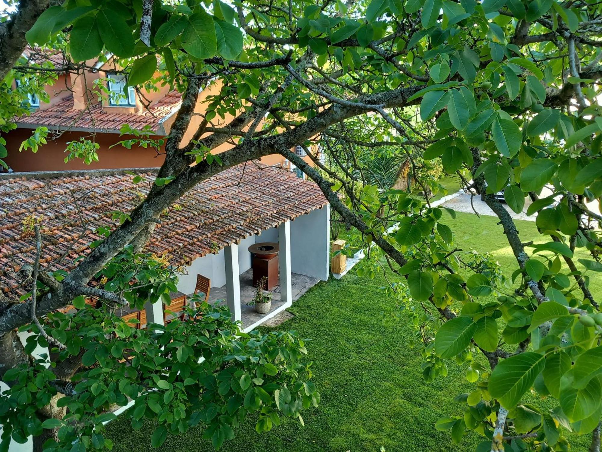 Villa In Sintra - Casa Da Penha Ferrim Экстерьер фото